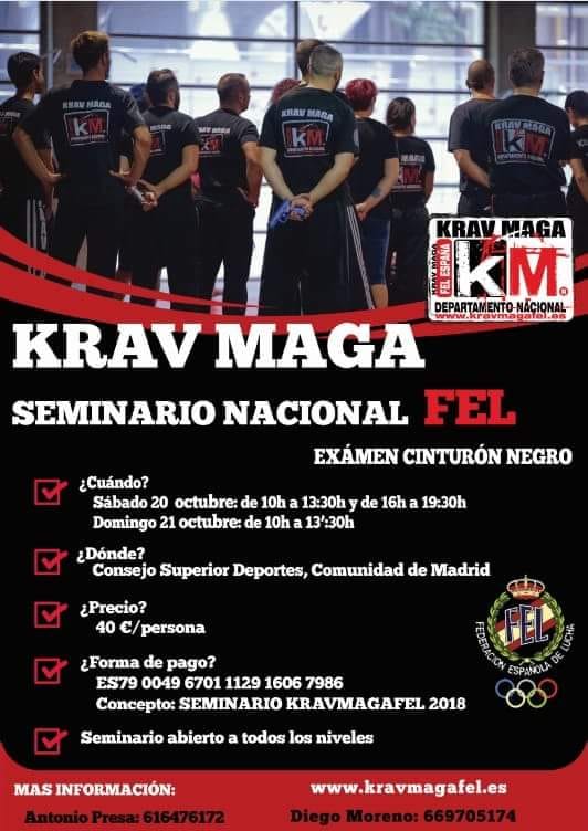 seminario car madrid.jpg