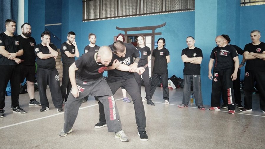 krav maga santander