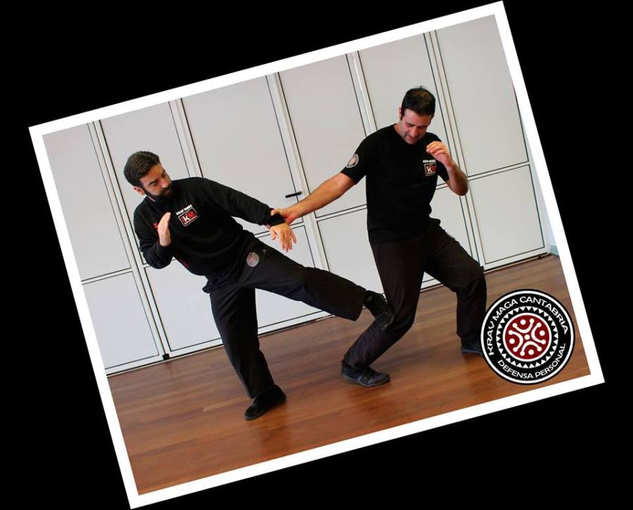 principio krav maga cantabria