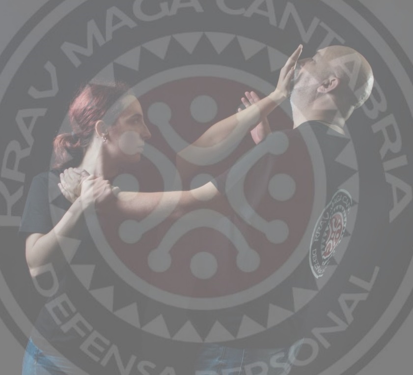 defensa personal santander femenina