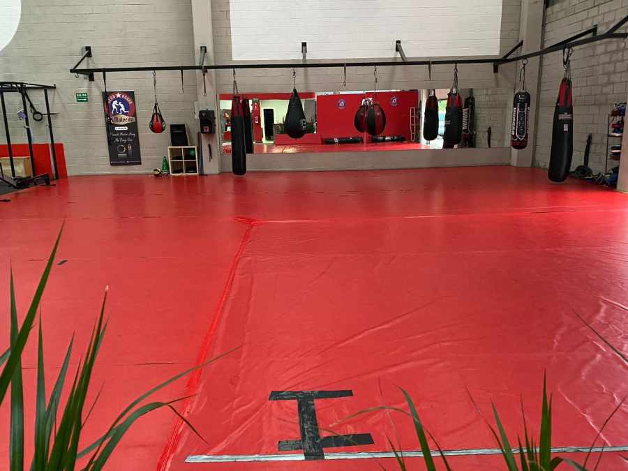 clases de defensa personal en torrelavega. krav maga en cartes