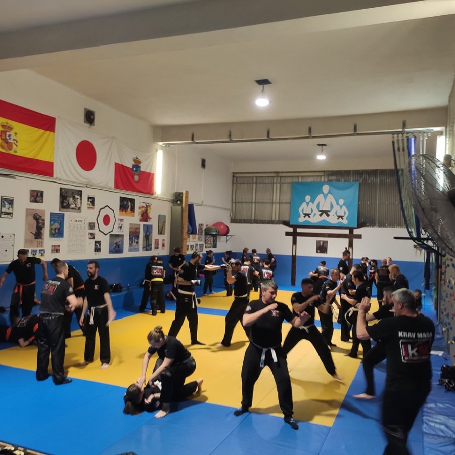 clase de krav maga en santander, escuela krav maga cantabria colegio santa maria micaela