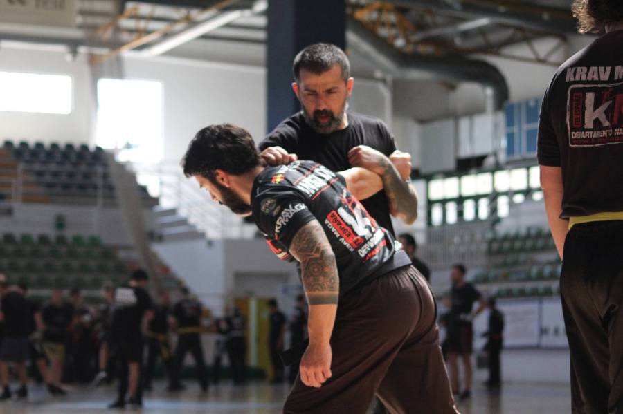 vitor martins enrique oliva krav maga seminario