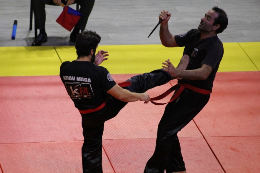 krav maga santander defensa personal enrique oliva cantabria campeonato mundo mundial francia parís