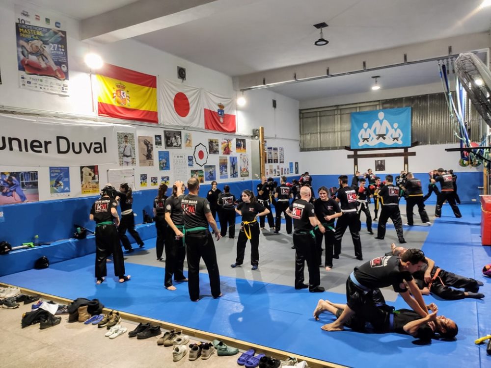 autodefensa artes marciales autoprotección judo karate mma jiujitsu