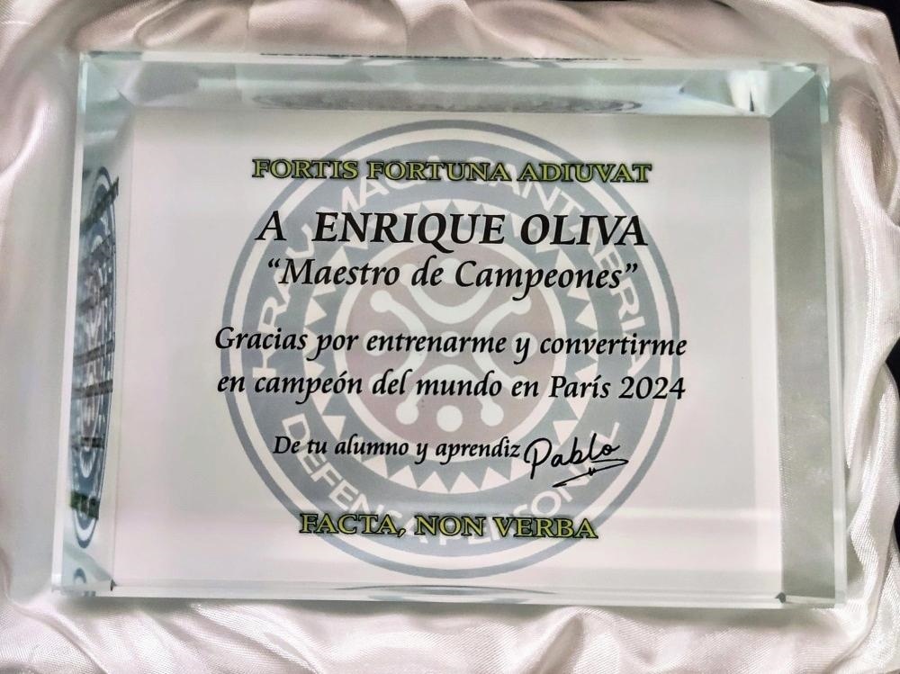 campeón del mundo krav maga cantabria santander enrique oliva artes marciales mma bjj grappling