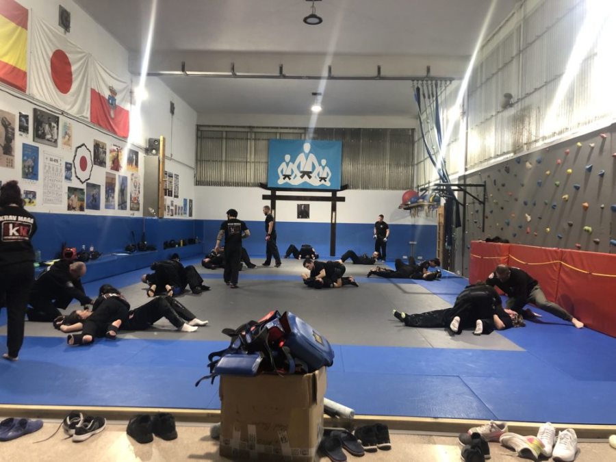 grappling lucha bjj cantabria santander