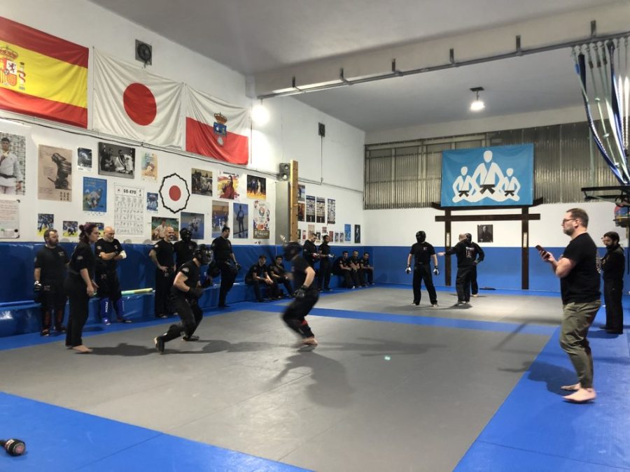 mma santander cantabria grappling