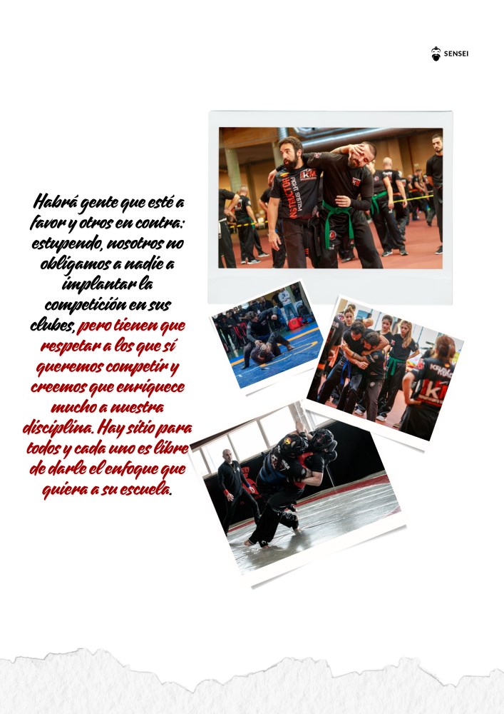 judo karate taekwondo boxeo mma jiujitsu bjj