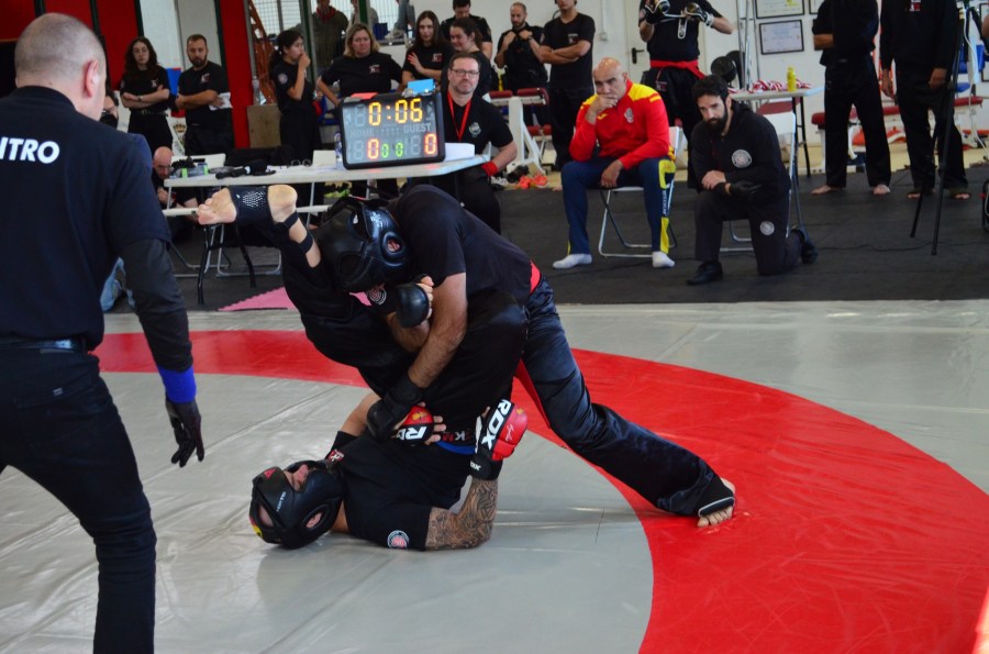 luchas olimpicas grecorromana sambo boxeo mma competicion