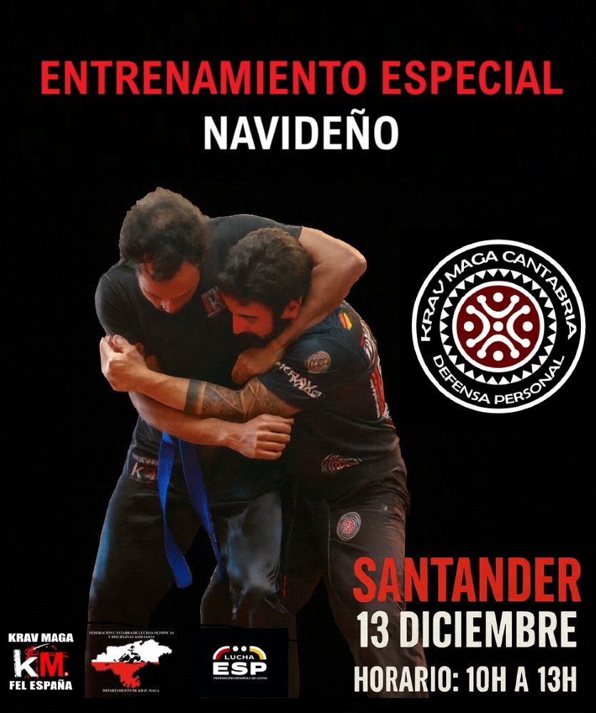 enrique oliva artes marciales maestro krav maga aikido